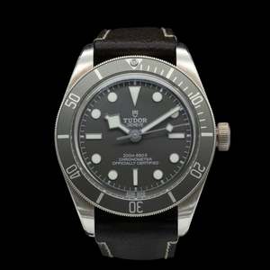 Tudor - 2021 Black Bay 58 Silver M79010SG