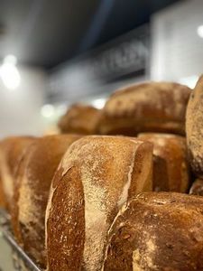 Wholemeal Loaf