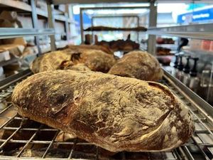 Ciabatta - Saturdays and Thursday 17th April