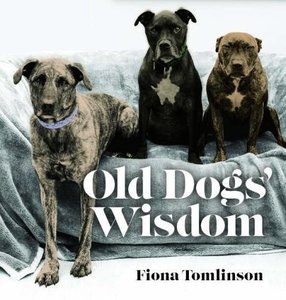 Gift: Old Dogs’ Wisdom