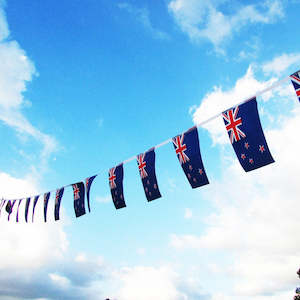 Flag Bunting: New Zealand Flag Bunting 10m