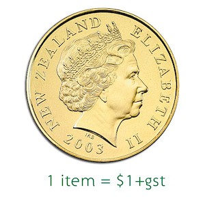 More Flags Buntings: Extra Payment Link