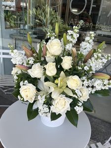EA09 WHITE FLOWERS IN POT - Flavells Floral Boutique