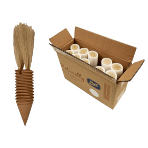 ECO-Carrots (box of 10)