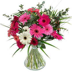 Frontpage: A Bouquet Gerberas