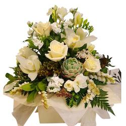 Frontpage: A Boxed Arrangement