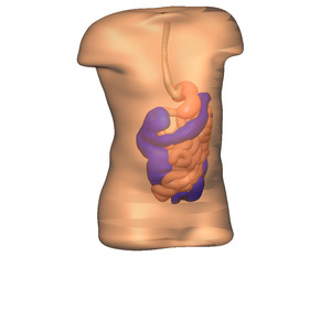Modeling solutions - FlexiMap