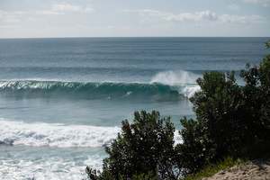 Throughthelens: Peace