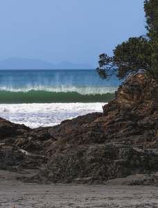 Throughthelens: The Cove