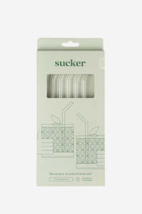 Eco Friendly: Reusable Glass Transparent Drinking Straws