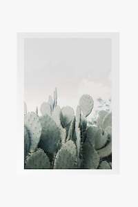 Fathers Day: In The Desert Cacti White Framed A2 Print