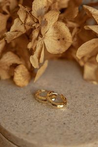 Scarlett Gold Twist Hoop Earrings