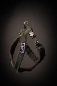 Fleece Walking Harness - Black Floofin' Fabulous