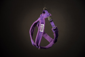 Products: Fleece Walking Harness - Purple Floofin' Fabulous