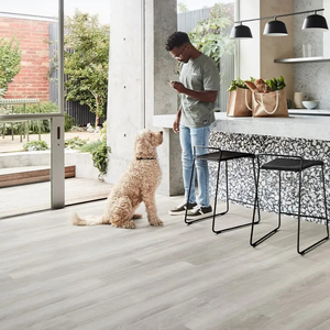 Products: Regent 1500