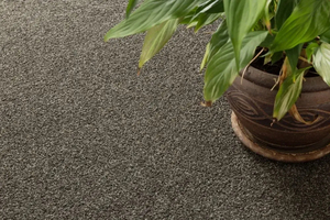 Products: Fendalton