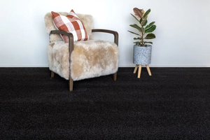 Products: Paihia