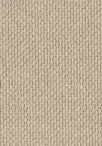 Textured Carpet: Andes Peak