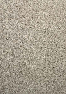 Flooring Xtra Exclusives: UltraPet Basenji