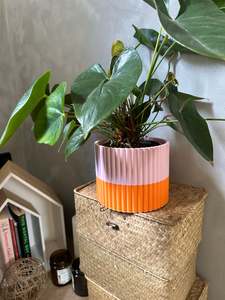 Products: The Izzy Pot- Large