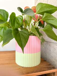 Products: The Izzy Pot- Medium