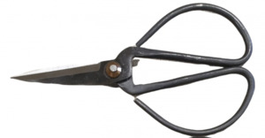 Japanese Herb Scissors - Large - Florafauna