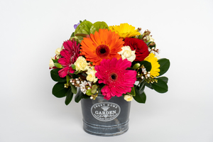Arranged Flowers: Bright Pot Arrangement - Botany Downs Florist & East Auckland same day delivery flowers Howick Florist