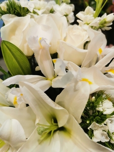 Anniversary: FLORIST CHOICE WHITE BOUQUET - Botany Downs Florist & East Auckland same day delivery flowers Howick Florist