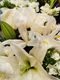 FLORIST CHOICE WHITE BOUQUET - Botany Downs Florist & East Auckland same day&hellip;