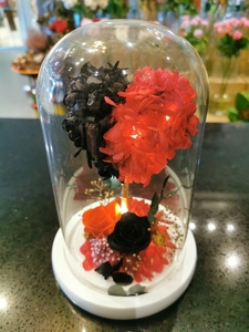 preserved flowers glassed arrangement - Botany Downs Florist & East Auckland&hellip;