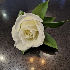 School Ball: buttonhole - Botany Downs Florist & East Auckland same day delivery flowers Howick Florist