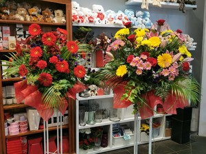 Arranged Flowers: grand opening arrangement - Botany Downs Florist & East Auckland same day delivery flowers Howick Florist
