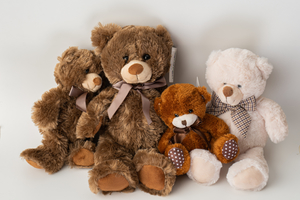 Into the Woods - Botany Downs Florist & East Auckland same day delivery flow&hellip;