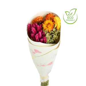 Dried Eco Mix Bunch Vivid