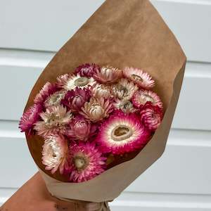 Straw Flowers Magenta