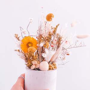 Ray of sunshine in a pot