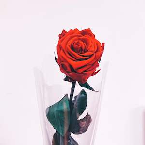 Small Bunch Flowers Auckland: Everlasting Roses