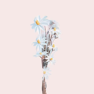 Small Bunch Flowers Auckland: Daisy Duke Stars7