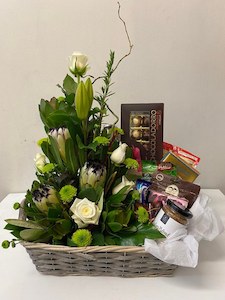 Plants: For the love of chocolate.