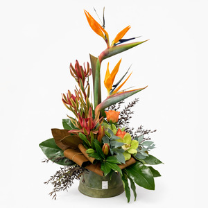 Take Mum to the Tropics Mother's day arrangement
