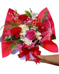 Holly Christmas 🎄