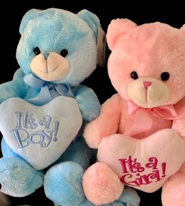 Add on: Medium Size Teddy Bear