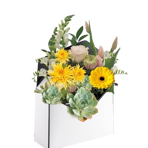 Candle: Envelope Box