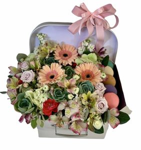 Add on: Lux suit case & Macaroons