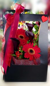 Card size: Black Beauty