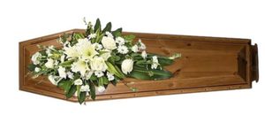White Spray Casket ( Dulux)