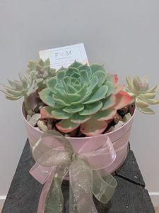 Card size: Mum Collection
