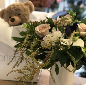 Products: Mum and Baby Bear