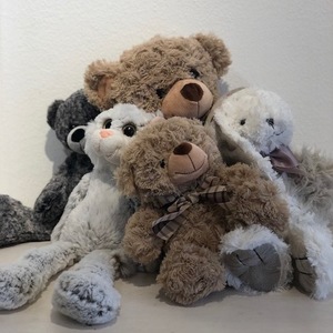 Products: Cuddlies