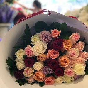 Products: Roses Roses Roses